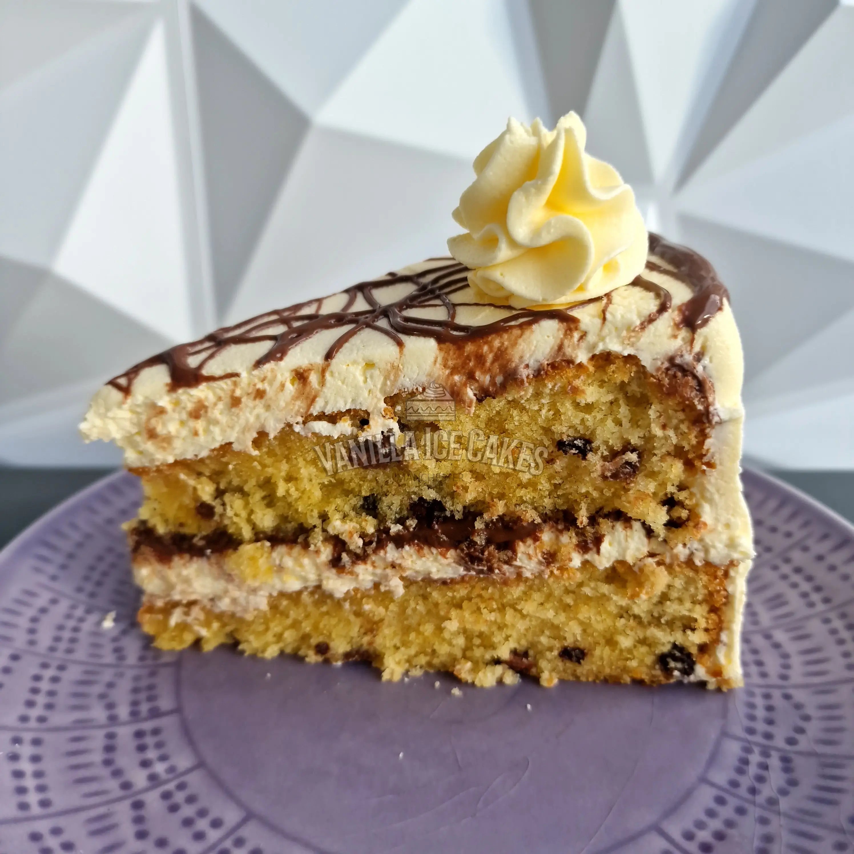 Chocolate Chip Nutella Cake Slice