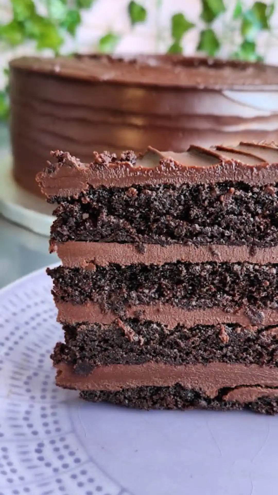Chocolate layer cake.