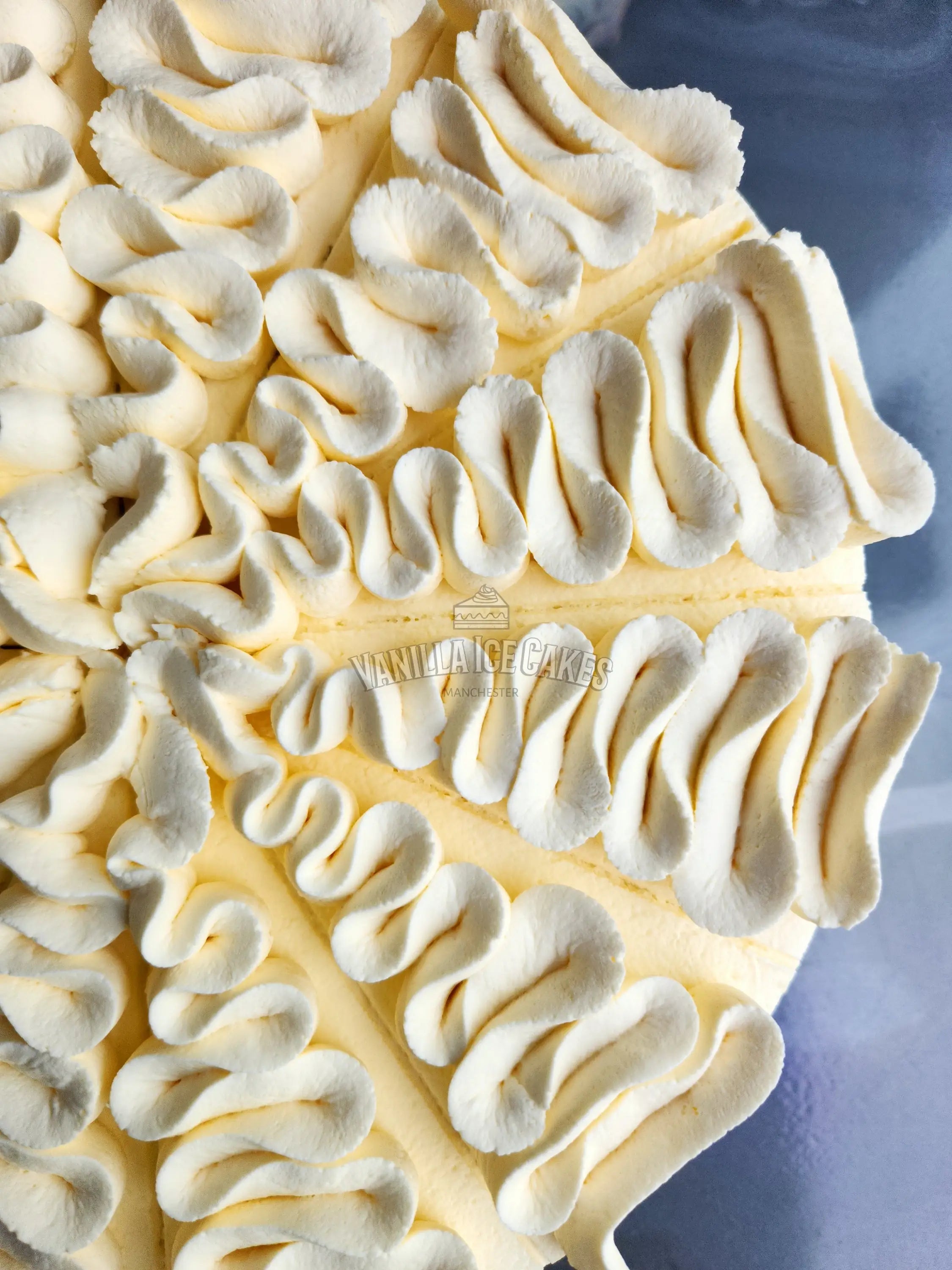 Fresh Cream Celebration Cake