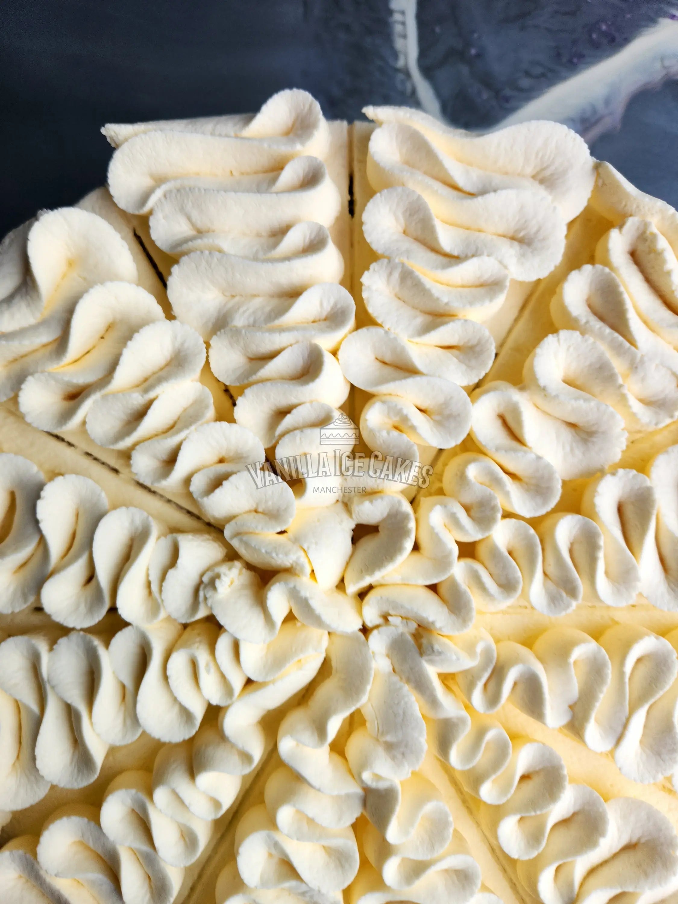 Fresh Cream Cake Slice