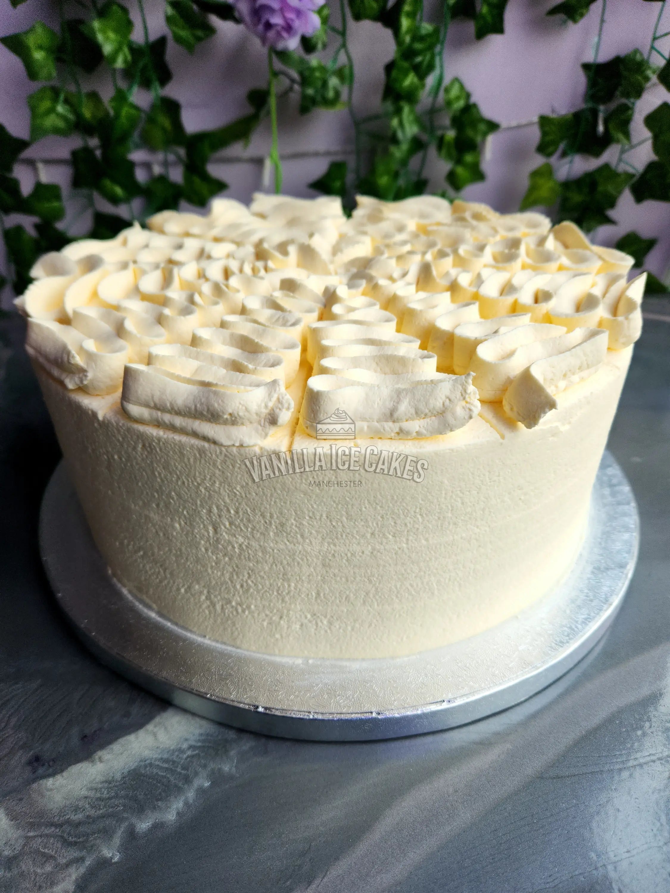 Fresh Cream Cake Slice