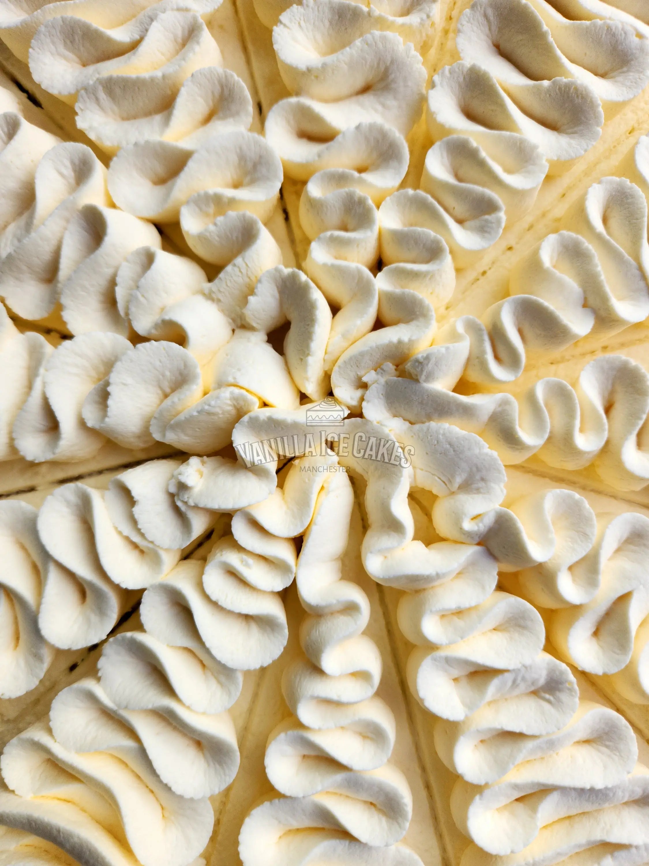 Fresh Cream Cake Slice