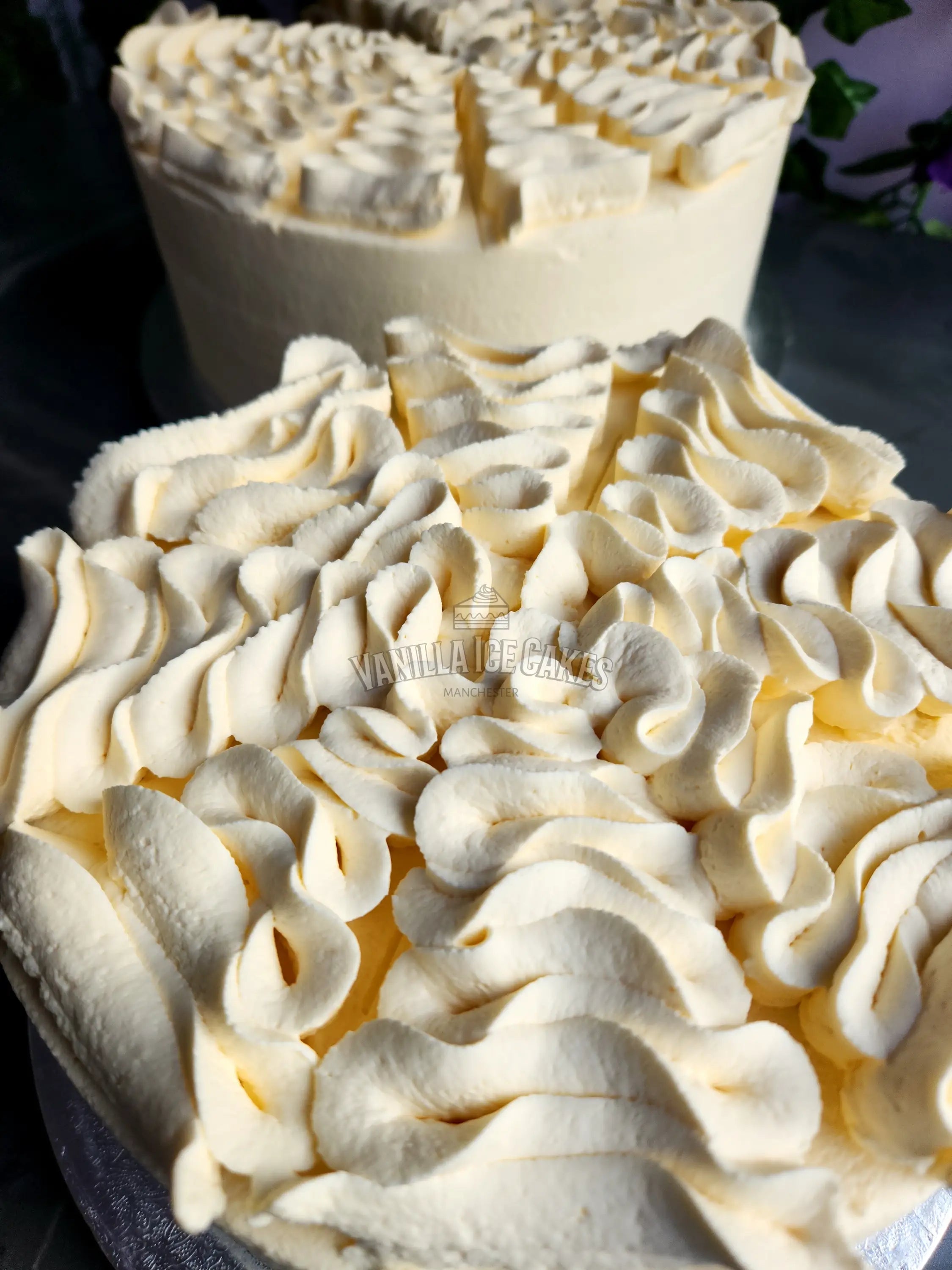 Fresh Cream Celebration Cake