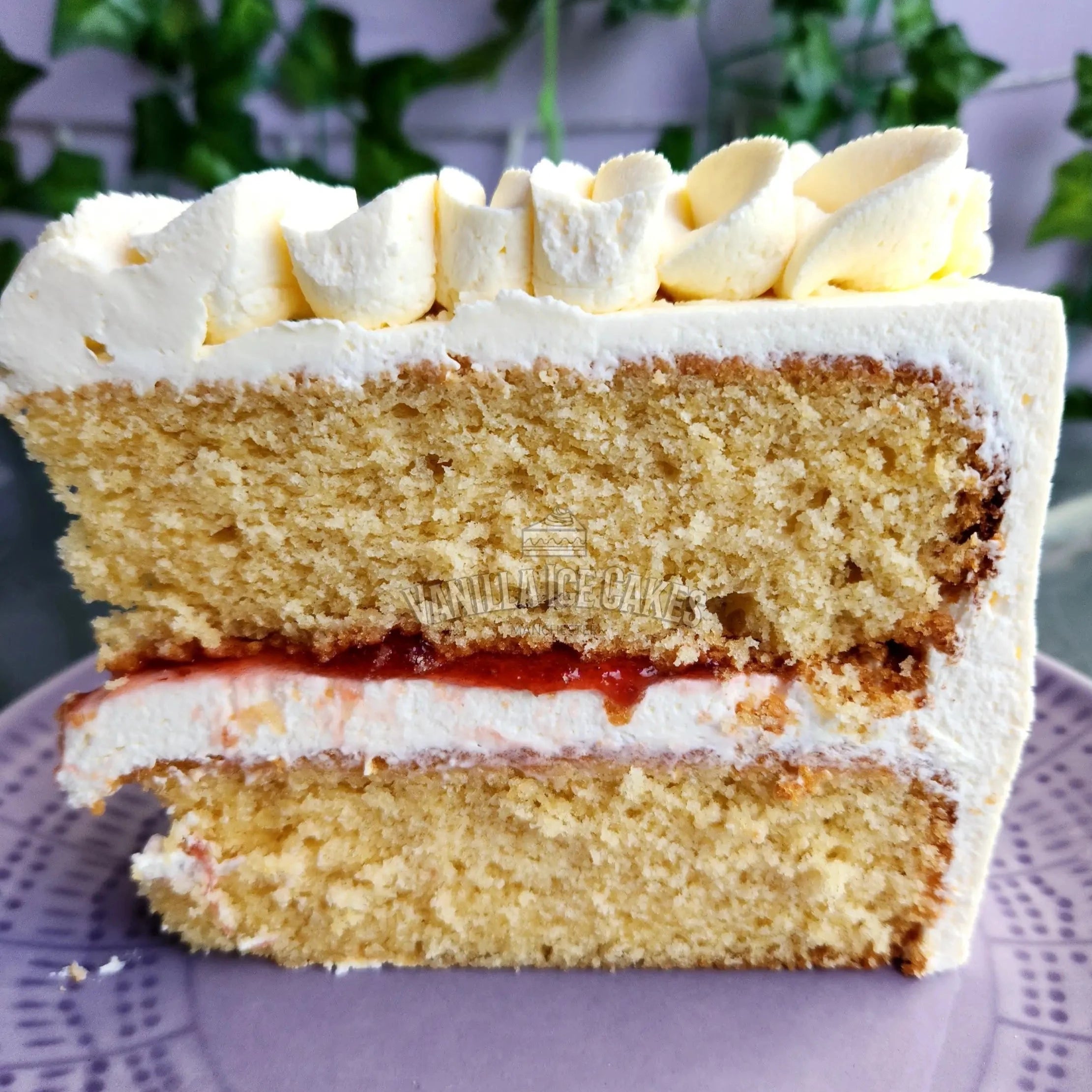 Fresh Cream Cake Slice
