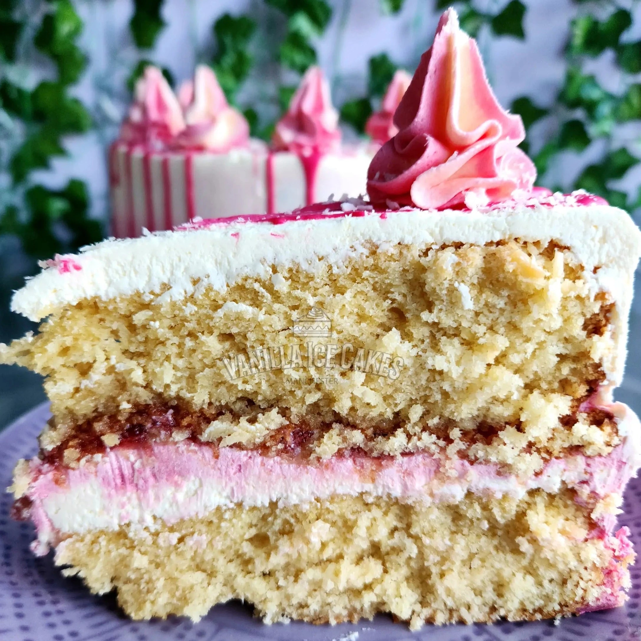 Coconut & Raspberry Cake Slice