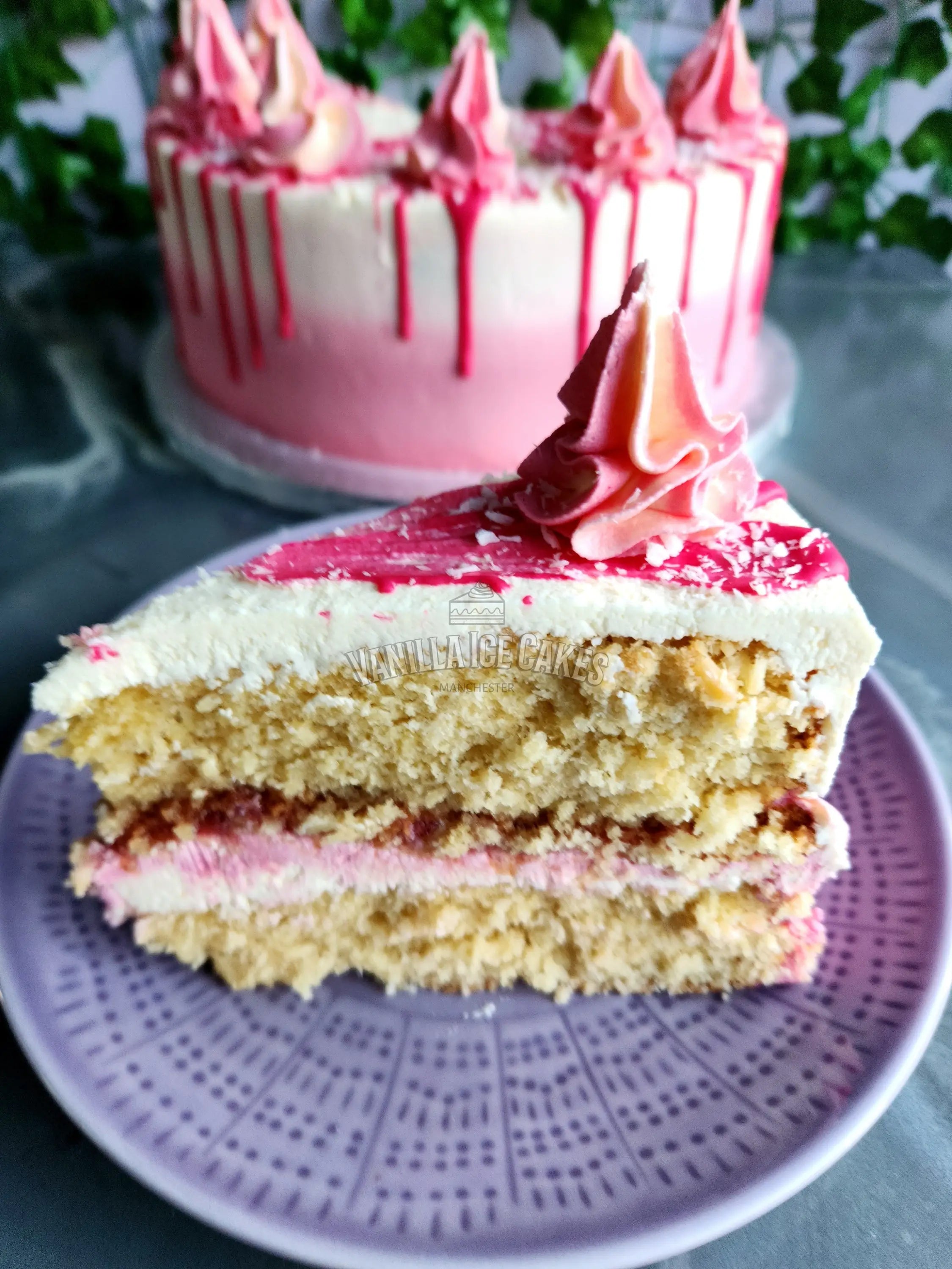 Coconut & Raspberry Cake Slice