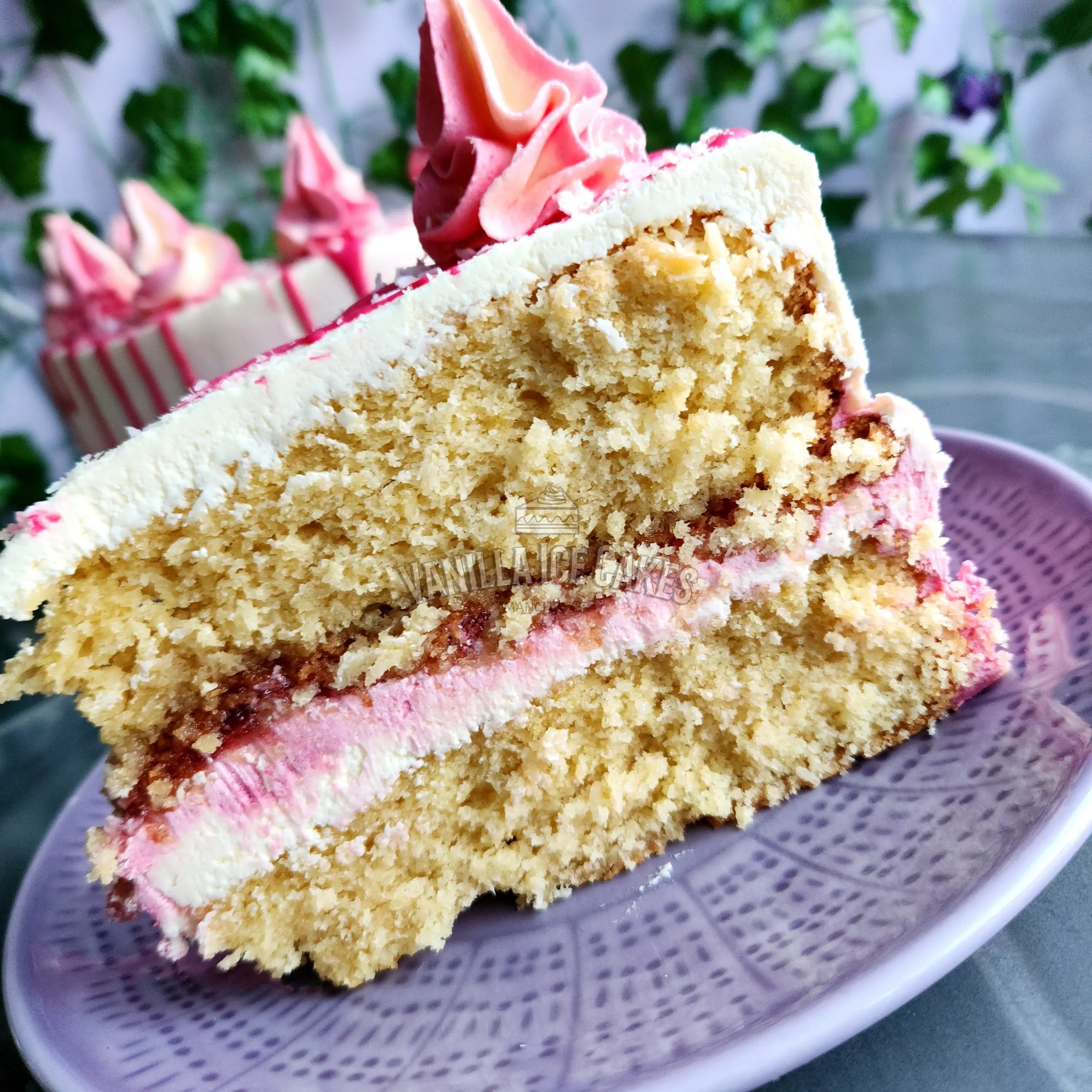 Coconut & Raspberry Cake Slice