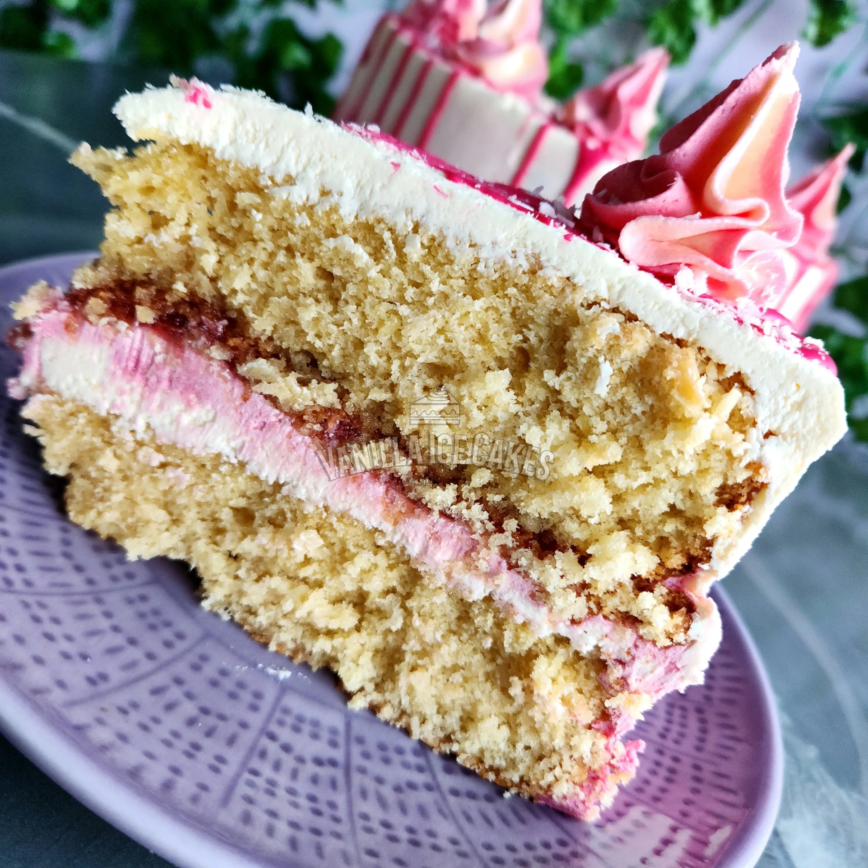 Coconut & Raspberry Cake Slice