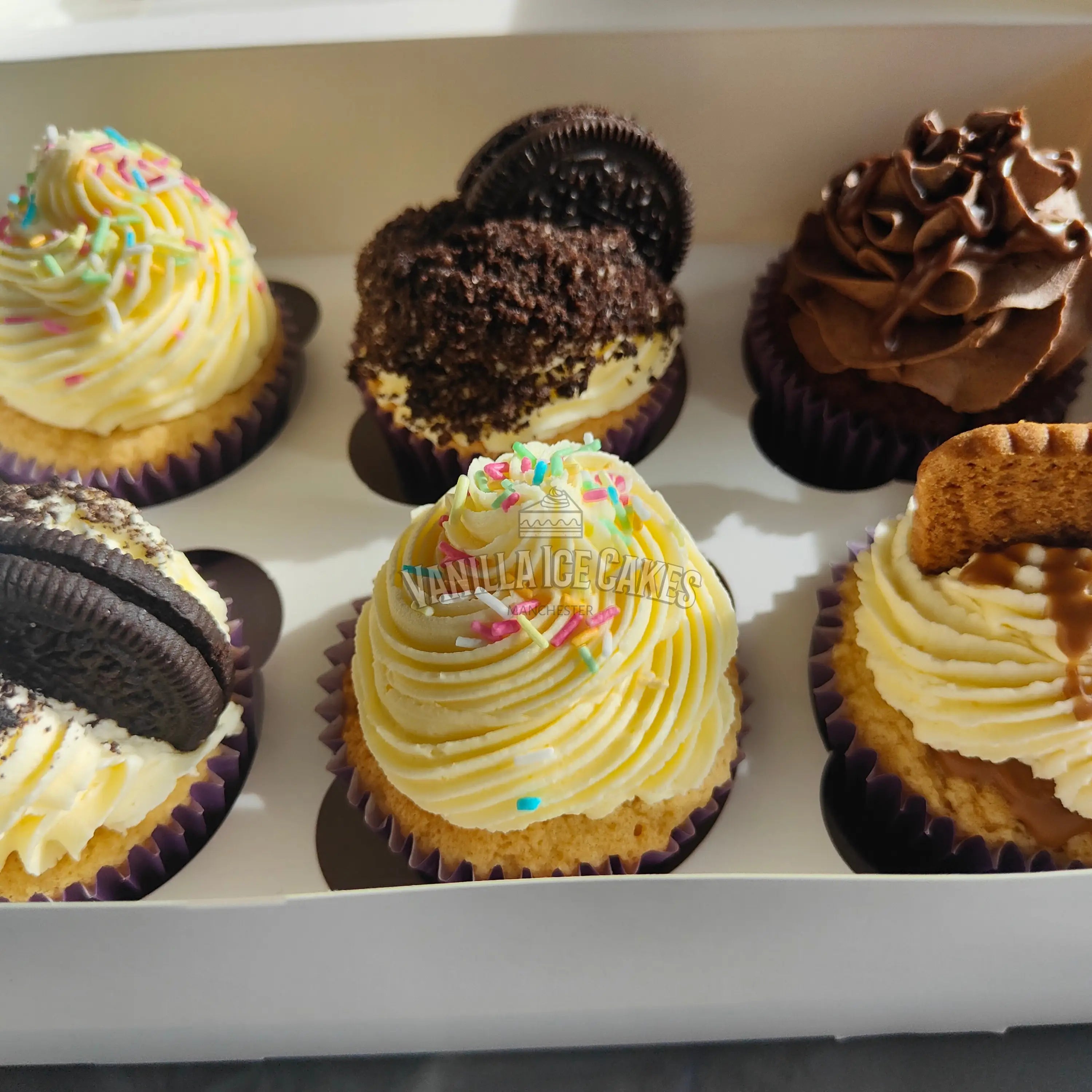 Mixed Cupcake Box