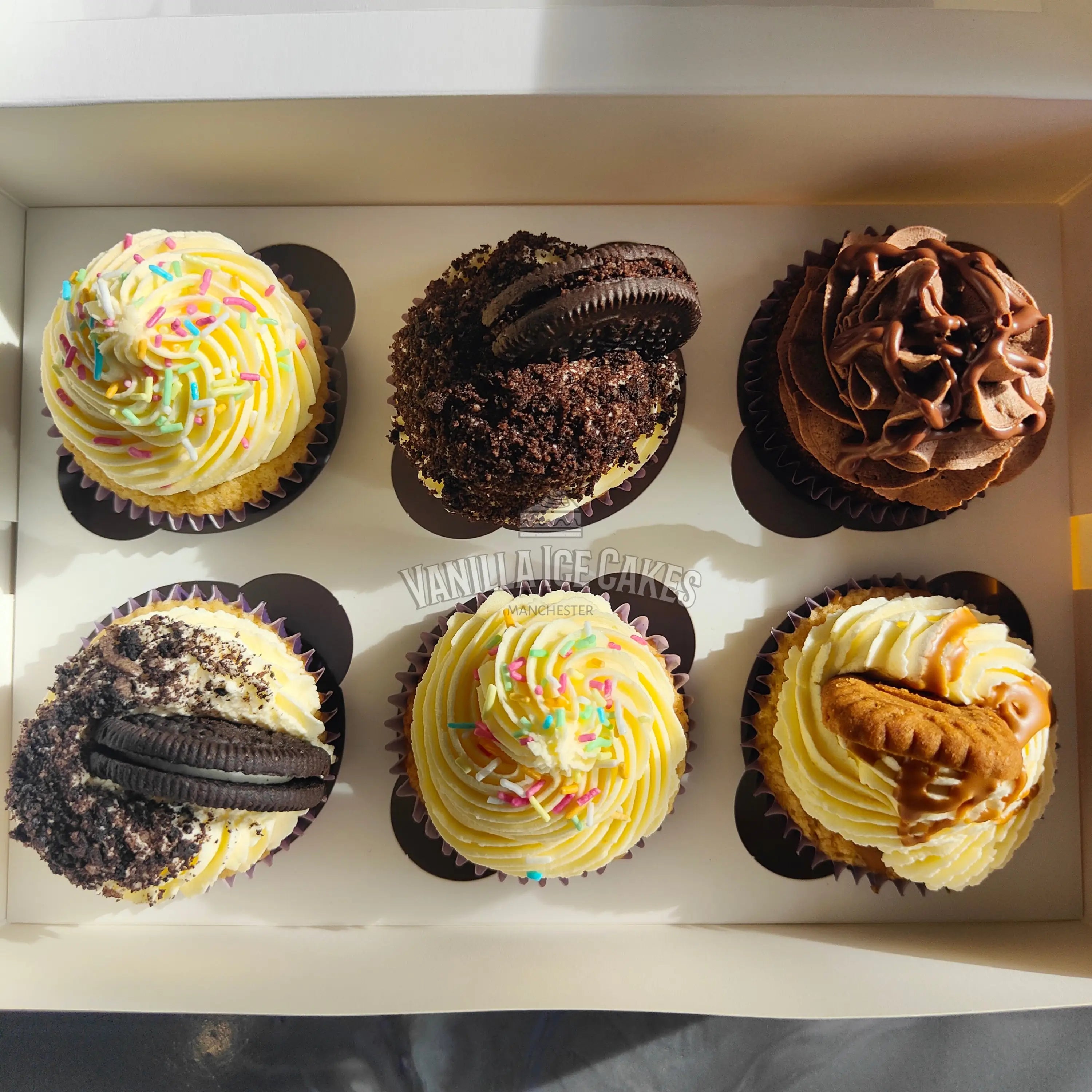 Mixed Cupcake Box