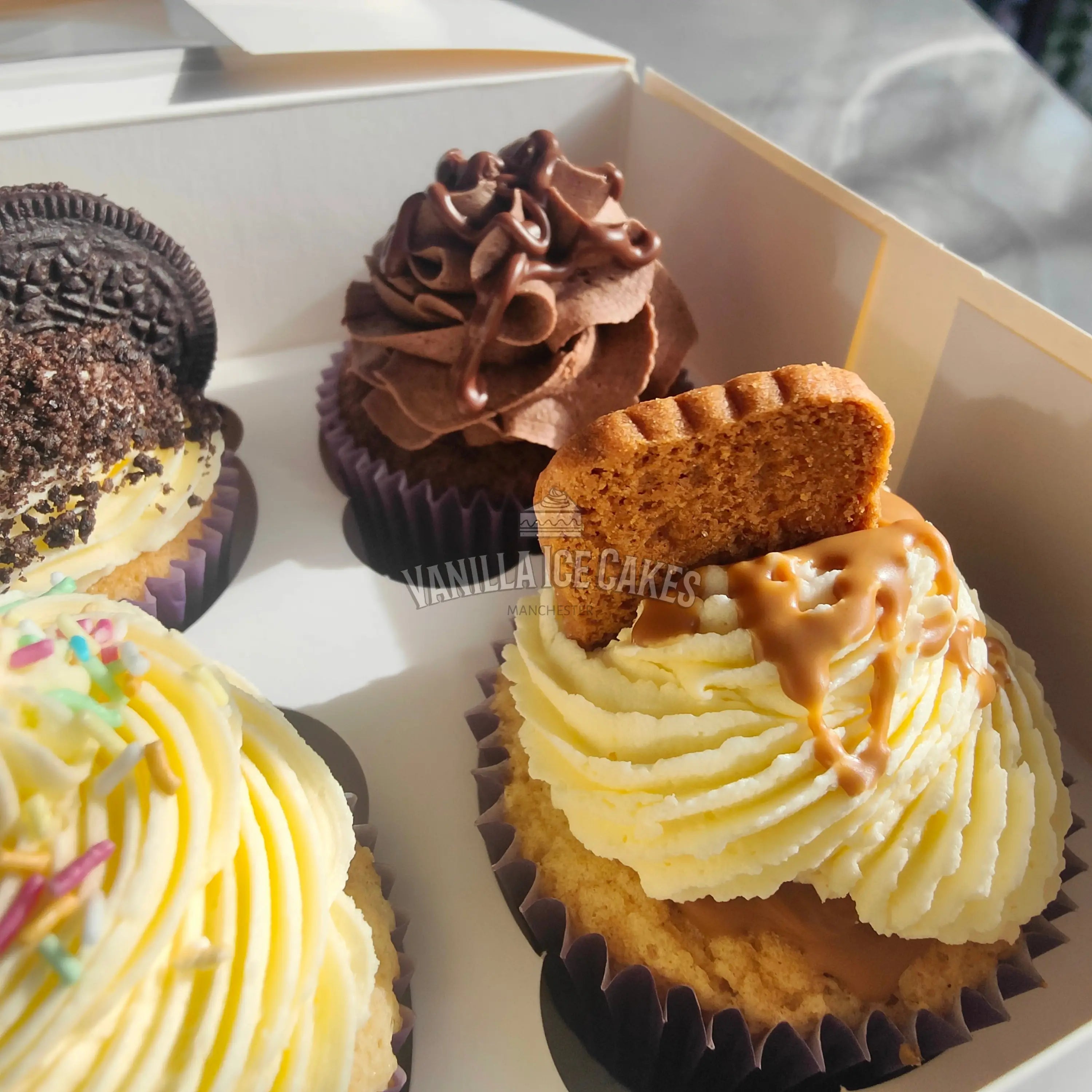 Mixed Cupcake Box